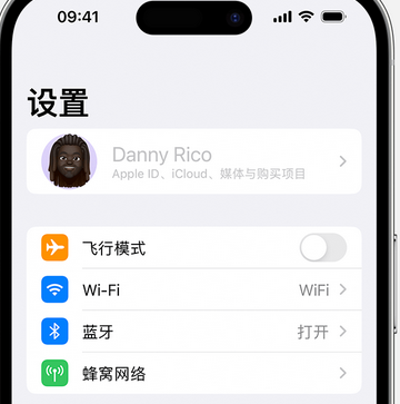 青原appleID维修服务iPhone设置中Apple ID显示为灰色无法使用 