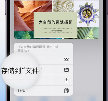 青原apple维修中心分享iPhone文件应用中存储和找到下载文件