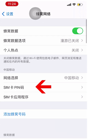 青原苹果14维修网分享如何给iPhone14的SIM卡设置密码 