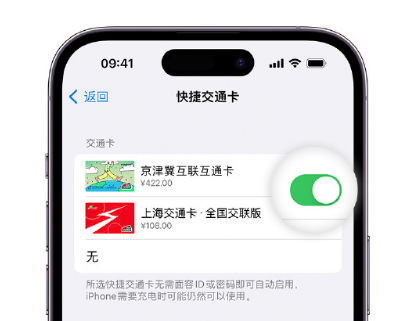 青原apple维修点分享iPhone上更换Apple Pay快捷交通卡手绘卡面 