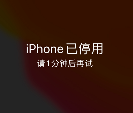 青原苹果手机维修分享:iPhone 显示“不可用”或“已停用”怎么办？还能保留数据吗？ 