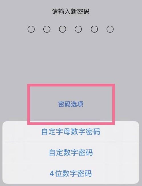 青原苹果14维修分享iPhone 14plus设置密码的方法 