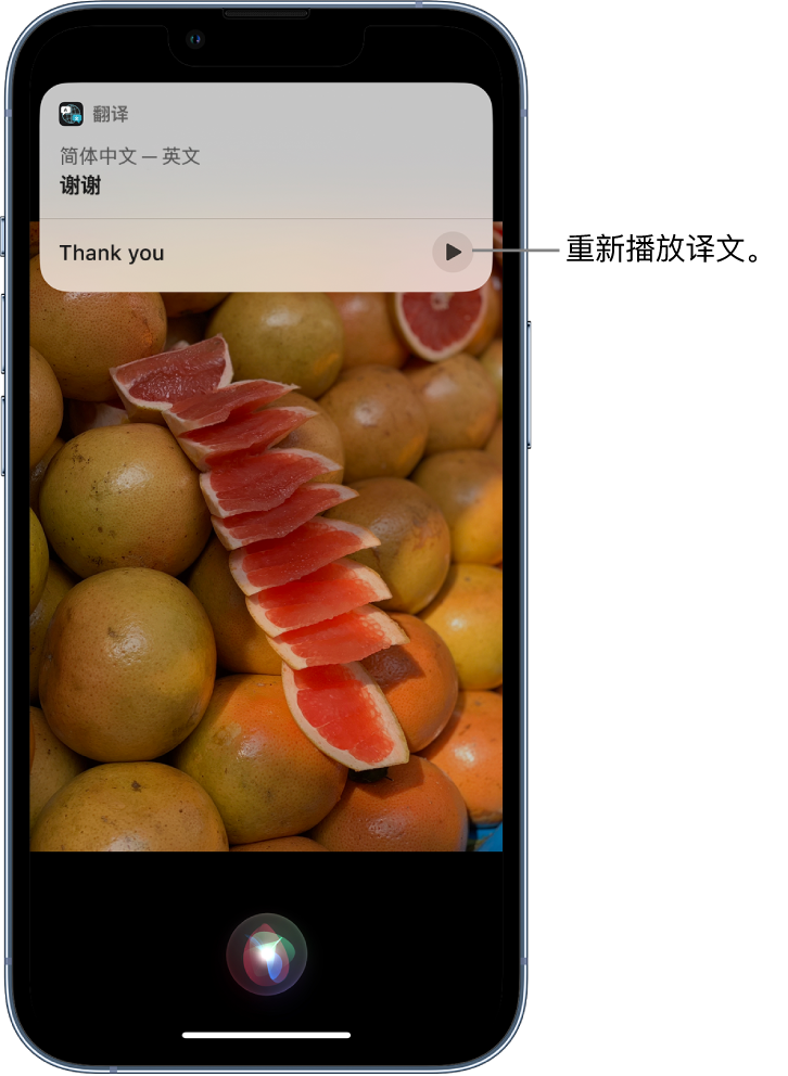 青原苹果14维修分享 iPhone 14 机型中使用 Siri：了解 Siri 能帮你做什么 