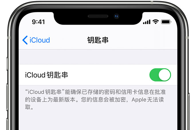 青原苹果手机维修分享在 iPhone 上开启 iCloud 钥匙串之后会储存哪些信息 