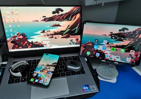 青原苹果手机维修分享为什么iPad屏幕更大价格却比iPhone低 