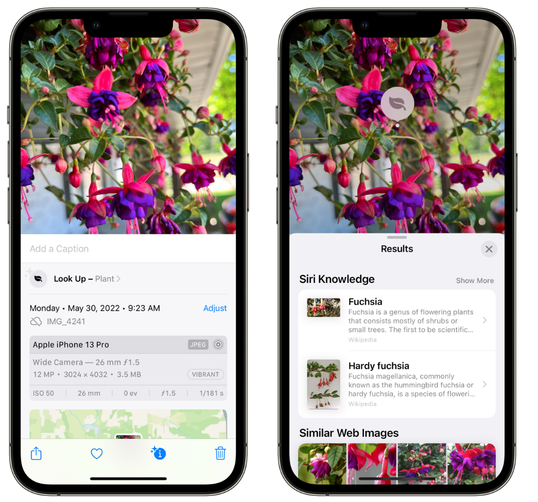 青原苹果手机维修分享小技巧：使用 iPhone 相机识别花卉植物 