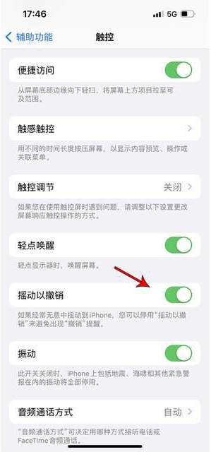青原苹果手机维修分享iPhone手机如何设置摇一摇删除文字 