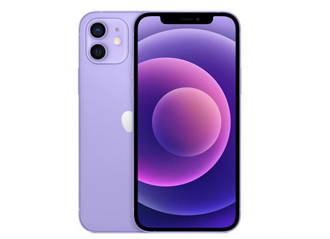 青原苹果手机维修分享现阶段要不要入手紫色版iPhone12 